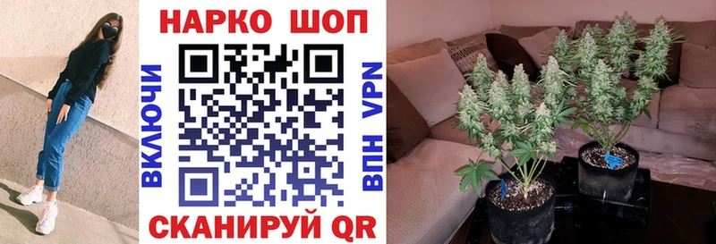 ГАШИШ Вологда
