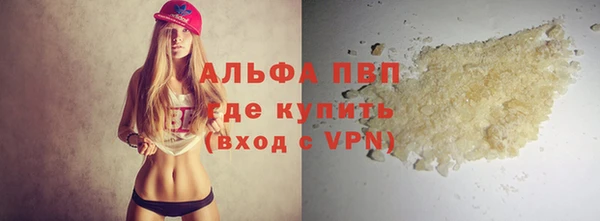 дживик Надым
