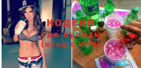 дживик Надым