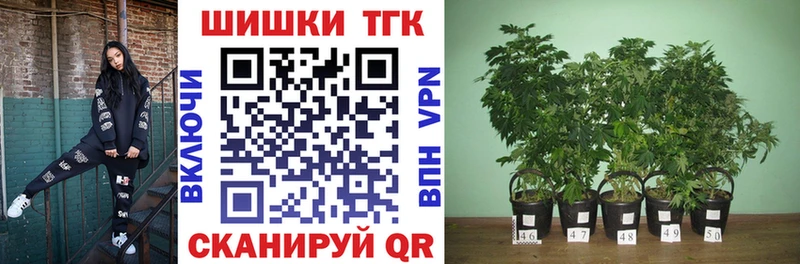 Купить  Вологда  Каннабис SATIVA & INDICA 